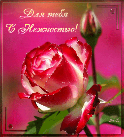 С нежностью к тебе!