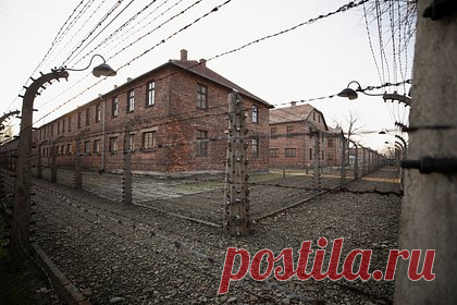 Пьяные туристы из Финляндии ворвались в музей и оскорбили память жертв Освенцима