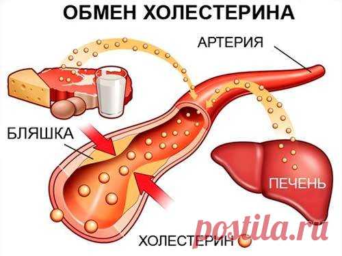 Как снизить холестерин в крови народными средствами: рецепты при повышенном холестерине