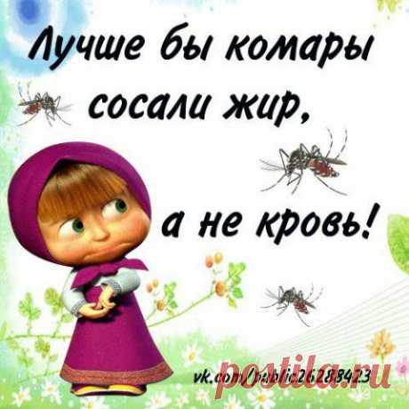 КАК ДЕЛА НА ЛИЧНОМ ФРОНТЕ... | МАЛЕНЬКАЯ СТРАНА МС