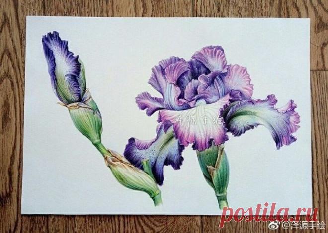 ​Урок рисования: ирис