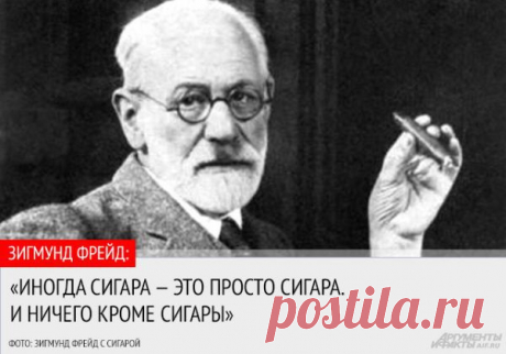 «Я верю в бородатых мужчин и длинноволосых женщин». 10 цитат доктора Фрейда | Фото | Общество | Аргументы и Факты
