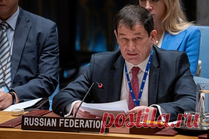 Германию призвали раскрыть правду о «Северных потоках»