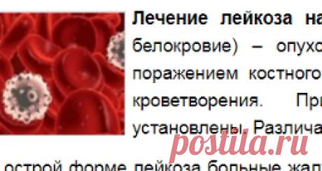 Лечение лейкоза народными средствами-Лечение травами, рецепты народной медицины