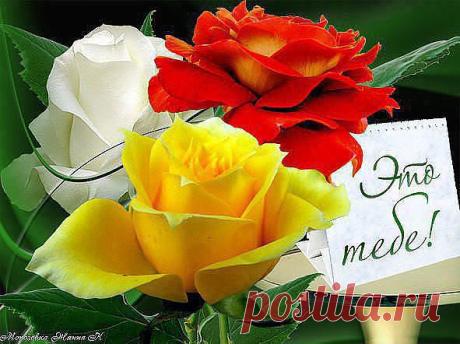 Уведомления