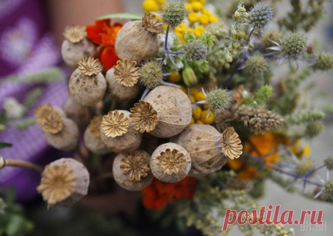 Сегодня — Медовый Спас. Вот что нужно и чего нельзя делать в этот день - Lifter