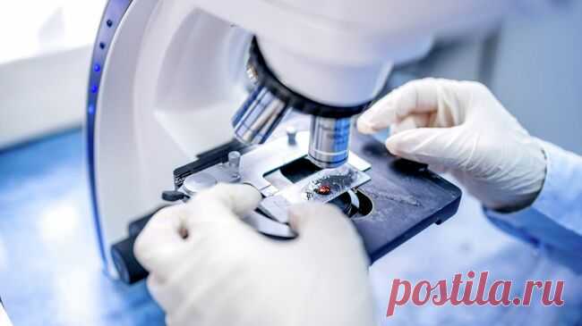 В России могут внедрить новый материал для лечения ран