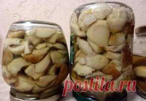 10 ВКУСНЕЙШИХ и НЕЖНЕЙШИХ заготовок из ГРИБОВ на зиму.
1. Засолка грибов - холодный способ.
_____________________________________________________
грибы (рыжики, черные и белые грузди, волнушки, сыроежки) - 1 кг
соль - 100 г
смородина - 10–12 листьев
вишня - 5–6 листиков
хрен - 2 листа
укроп - 2 зонтика
лавровый лист - 2–3 шт.
перец горошком - по вкусу
чеснок - по вкусу
Грузди, волнушки или сыроежки вымыть и залить холодной водой на 5–6 ч. (Рыжики не вымачивают, а только промывают). 
На дно дере