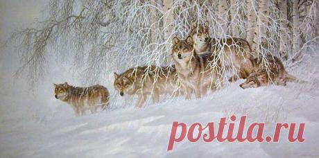 Мой Мир@Mail.Ru