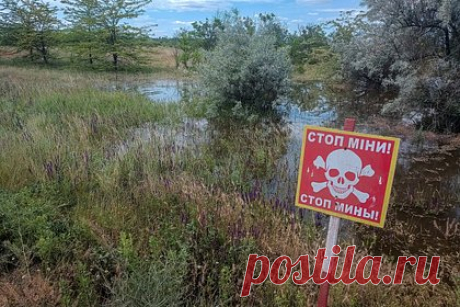Украинская пехота подорвалась на своих же минах под Угледаром. Группа пехоты Вооруженных сил Украины вместе с тремя машинами тяжелой бронетехники подорвалась на своих же минах при попытке наступления на угледарском направлении. Как сообщил военнослужащий с позывным «Бука», попытка контрнаступления была предпринята украинскими военными «буквально пару дней назад».
