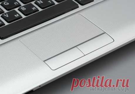 Не работает Тачпад на ноутбуке? 5 способов решения TouchPad