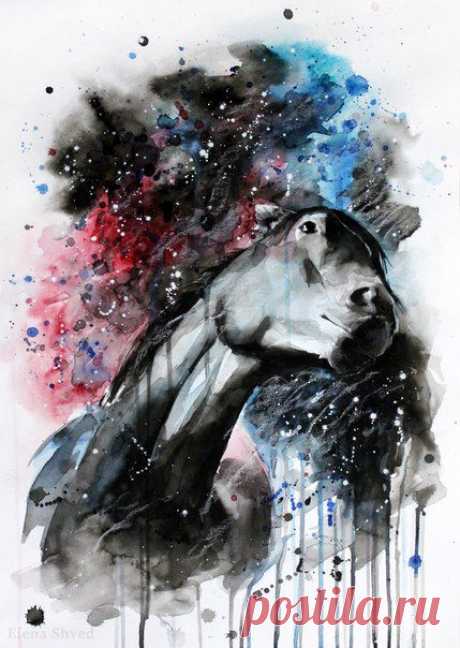 Art by E l e n a S h v e d