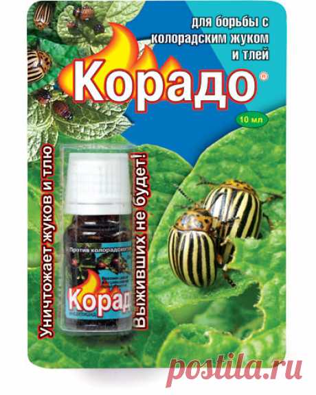 Компания Ваше хозяйство - «Корадо» — эффективный препарат для борьбы с колорадским жуком и тлей