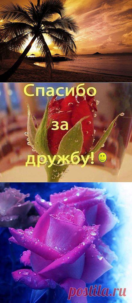 Елена Парфёнова