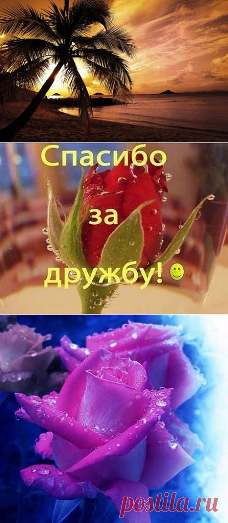 Елена Парфёнова