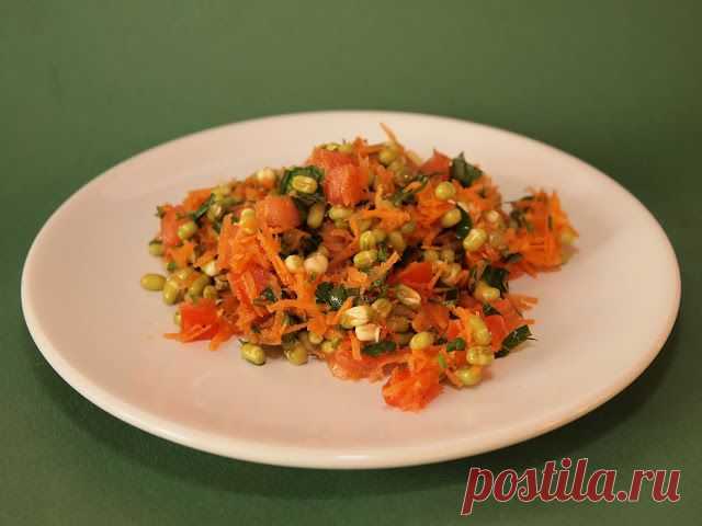 Вегетарианские рецепты / Готовим вкусно и интересно: Салат из маша (или "Мечта сыроеда")