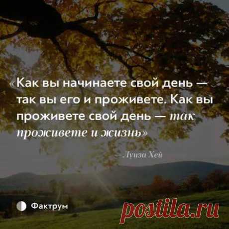 (2) Мы выбираем счастье - Хроника