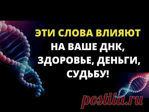 СЛОВА СИЛЫ/ Как слова влияют на Успех, Здоровье, Достаток/Разрушающие Слова и Слова Силы