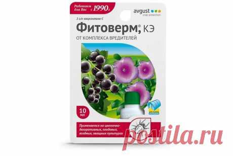 12 ТОП способов как бороться с долгоносиком в 2023 году на клубнике — чем обработать и что еще можно сделать