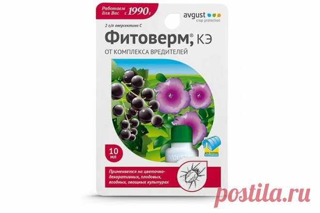 12 ТОП способов как бороться с долгоносиком в 2023 году на клубнике — чем обработать и что еще можно сделать