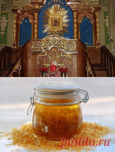 (46) Одноклассники