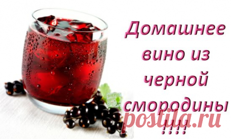 Домашнее вино из черной смородины!!!
Ингредиенты
3 кг. черной смородины (не мыть, только перебрать)
3 кг. сахара
7 литров кипячёный воды ком. температуры
1 бутыль стеклянная на 10 литров
1 перчатка резиновая медицинская
40 см.резинки бельевой
1 черный пакет целлофановый – большой.
Как приготовить
Смородину измельчить в мясорубке, блендоре.
Положить ягоды в бутыль, добавить сахар, влить воды до плечиков в бутыли оставив место для брожения….
Надеть резиновую перчатку на горлышко бутыли и завя