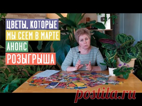 СЕЗОН 2020: ЧТО ПОСЕЯТЬ В МАРТЕ: цветы АНОНС РОЗЫГРЫША ПРИЗОВ К 8 МАРТА / Садовый гид