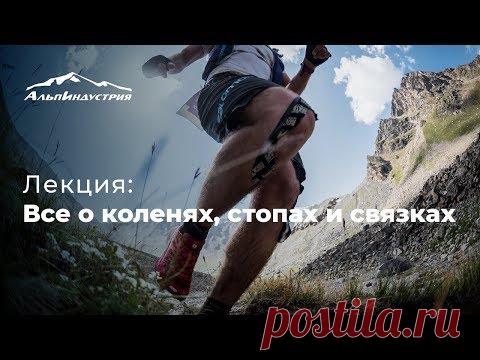 Лекция | Все о коленях, стопах и связках