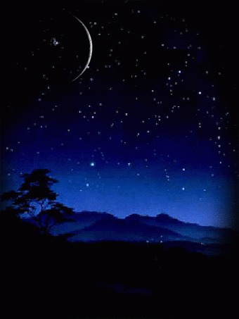 Beautiful Pictures – Google+