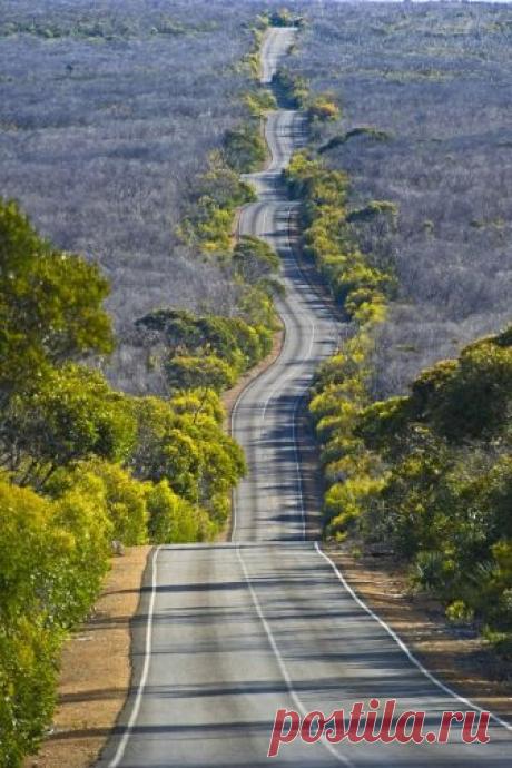 Pinterest (Pin) (157)
