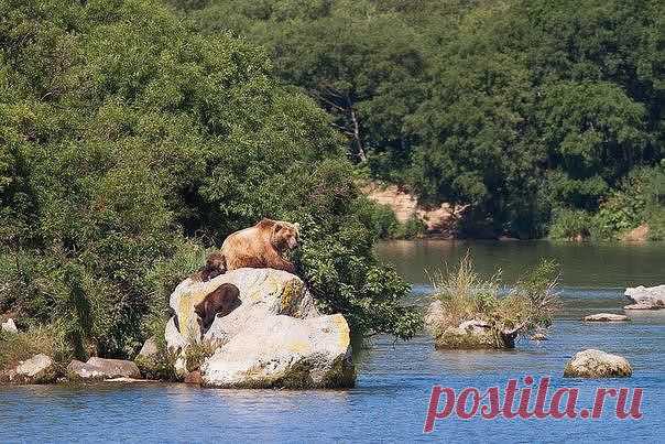 Одноклассники
