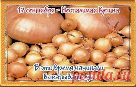 Праздник посвящен любимому растению российских крестьян — луку, сподвижнику апостола Павла — апостолу Луке, а также святому Луке Каппадокийскому.
