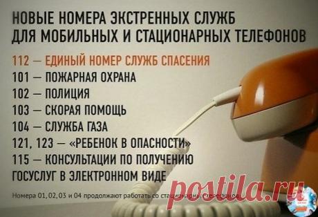 Стoит coхpанить на cтене