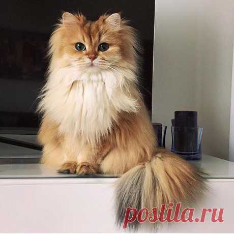 (1) Facebook