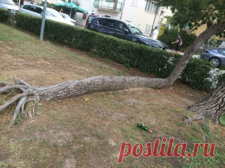 30 фотографий из серии Удивительное рядом