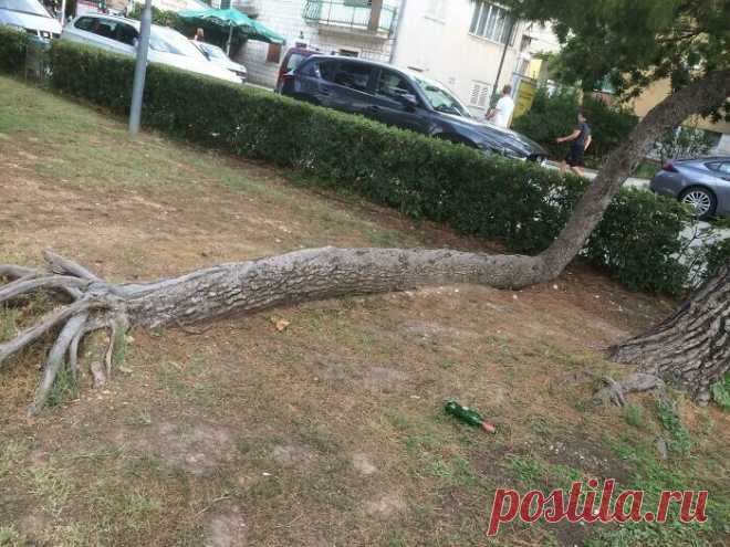 30 фотографий из серии Удивительное рядом