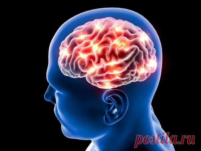 Картинки мозга (36 фото) ⭐ Забавник