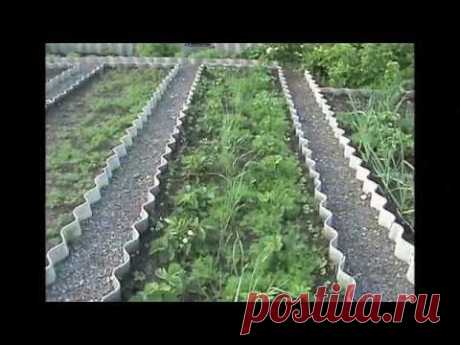 Интересный вариант грядки короба. Имеет много преимуществ перед другими грядками