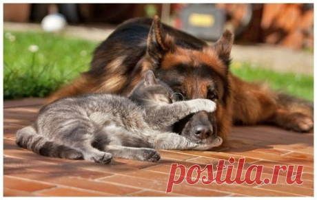 (6) Мой Мир@Mail.Ru