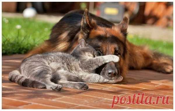 (6) Мой Мир@Mail.Ru