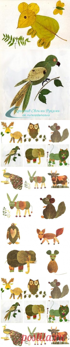 (3) Одноклассники