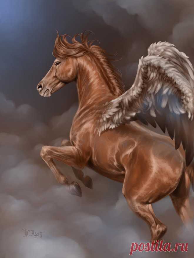 flight of freedom by Animal75Artist on DeviantArt