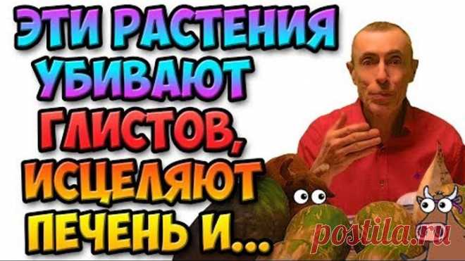 ЧЕЛОВЕК ПЕРЕСТАЕТ ГНИТЬ ЗАЖИВО! И ВОТ ПОЧЕМУ... Виталий Островский! Глисты, паразиты в человеке.