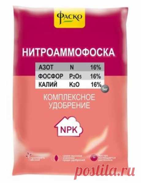Удобрение Нитроаммофоска: применение, состав, нормы внесения Нитроаммофоска – популярный аграрный химикат, который выпускают в гранулах розовато-бежевого цвета различной интенсивности окраски. Ее применение позволяет получить хороший урожай на участке, сэкономив при этом время и деньги. Отличная результативность достигнута благодаря высокому содержанию питательных веществ.

Если сравнивать минеральные удобрение и нитроаммофоску, то последняя выигрывает по охватываемой