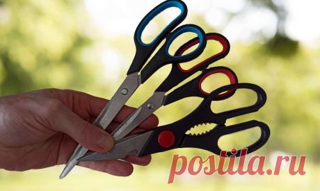 Как наточить ножницы за 10 секунд. Простой способ | Мастерская Палыча | Яндекс Дзен