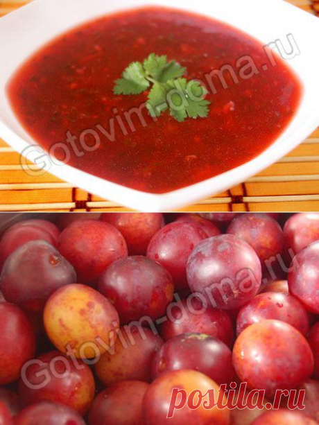 Рецепт: Соус из слив (Ткемали)