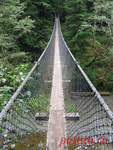 West Coast Trail - Hanging Bridges