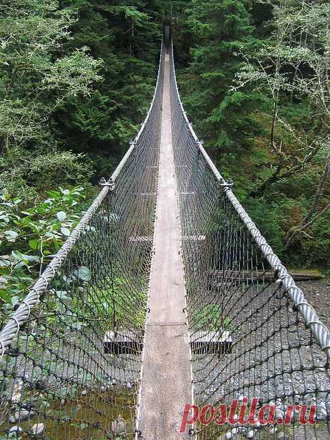 West Coast Trail - Hanging Bridges