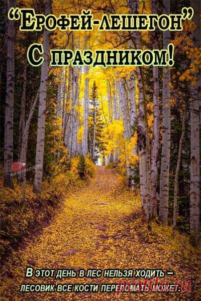 Люди старались избегать леса, веря, что леший может навредить. Открытки на Ерофеев день.