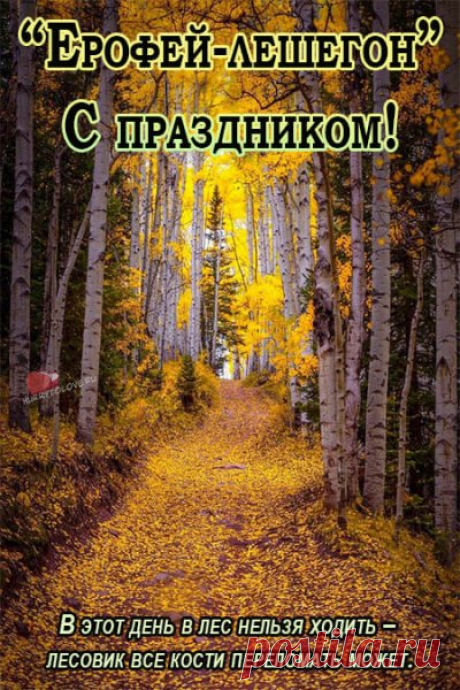 Люди старались избегать леса, веря, что леший может навредить. Открытки на Ерофеев день.